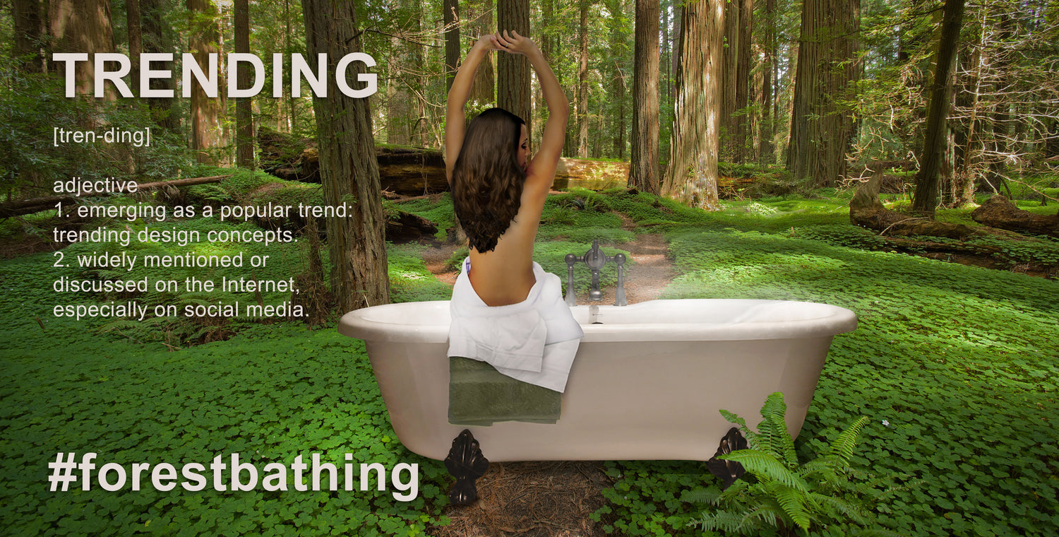 Forest Bathing